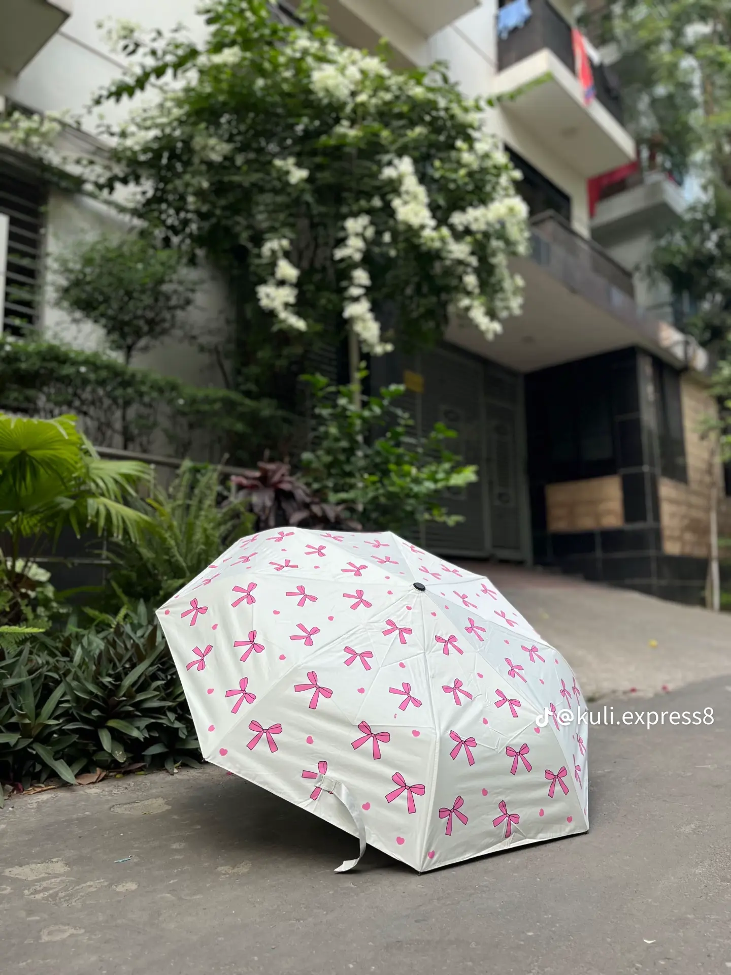 Umbrella 