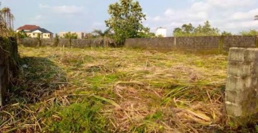 3Plots of land 