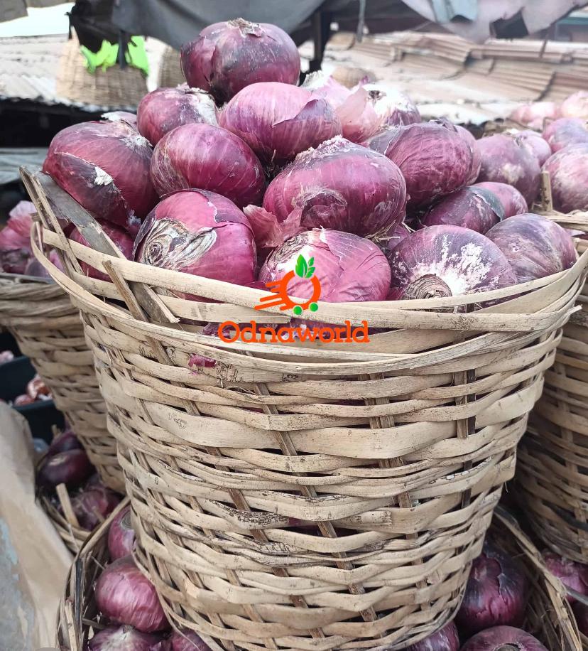 Onions 🧅 