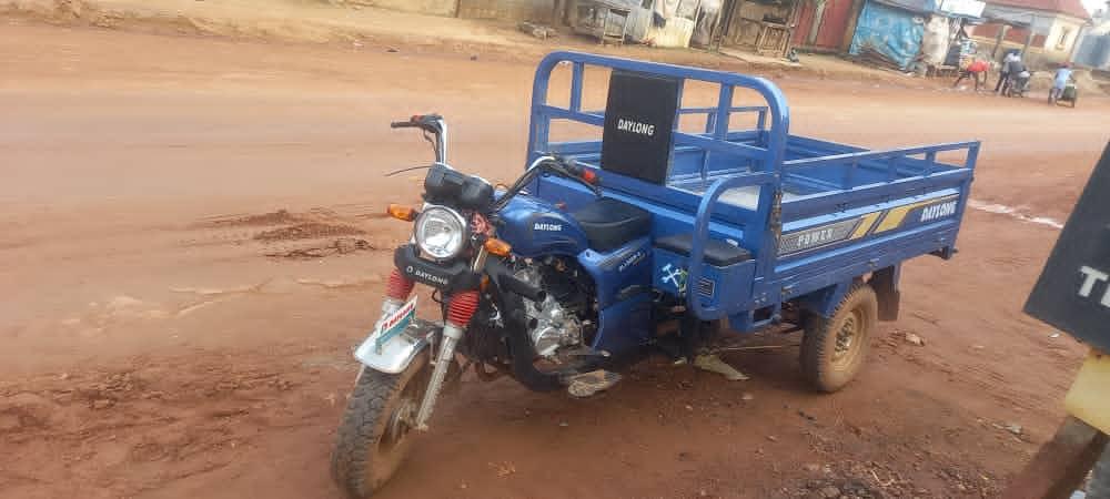 DL 150